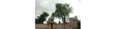 கண்ணாபட்டி